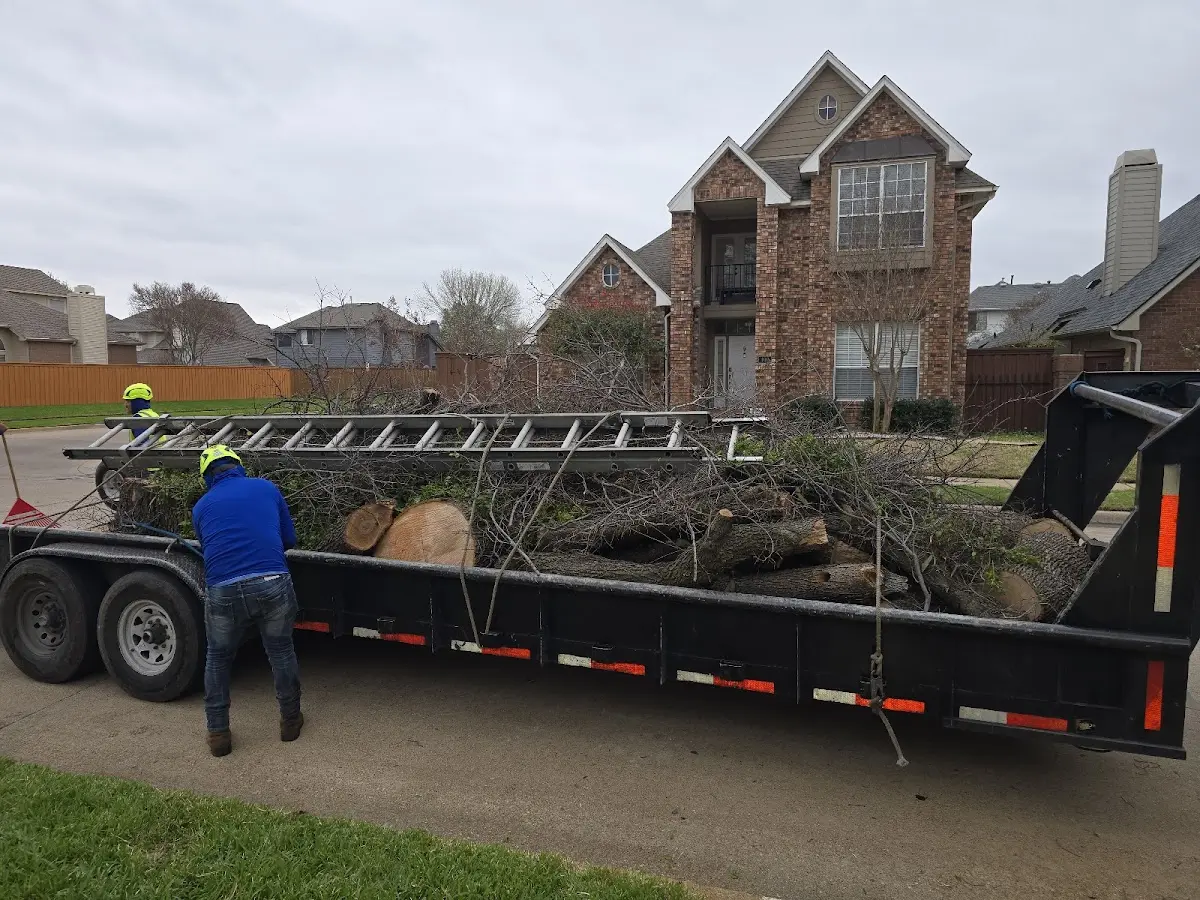 Expert Tree Pest Control with proper safety equipment in Awendaw